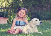 Haustiere im Kindercheck: Der Guide für Hase, Hund und Co