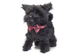 Spielzeug-Hund für Kinder: Bellen, Laufen & andere Funktionen