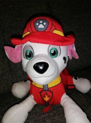 Paw Patrol Adventskalender Test Marshall