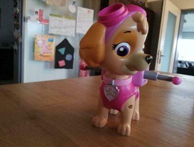 Paw Patrol Adventskalender Vergleich