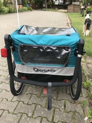Qeridoo Sportrex1 Empfehlung
