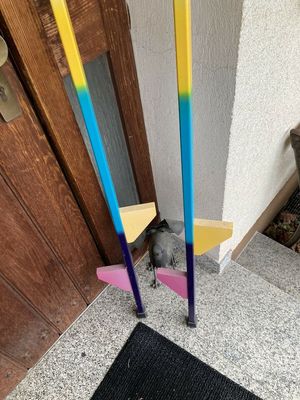 Stelzen fuer Kinder Testsieger (1)