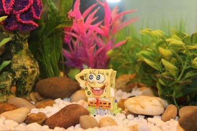 Spongebob Geschenke fuer Kinder 