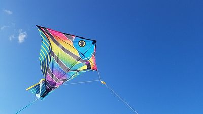 spielend LERNEN Spielzeug Flugdrachen für Kinder mit 80m langer Schnur 