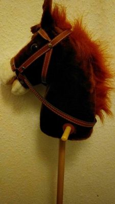 Steckenpferd fuer Kinder Testsieger (1)