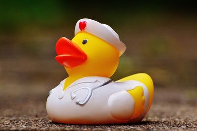 Badeente Testsieger