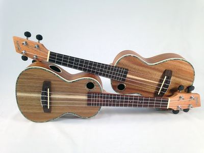 Ukulele fuer Kinder Testsieger (1)