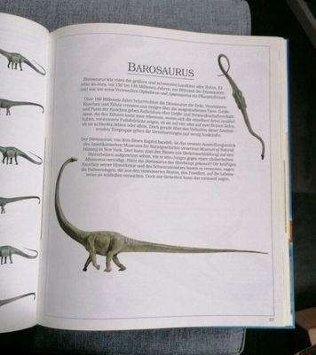 Dinosaurier Buch fuer Kinder Testbericht