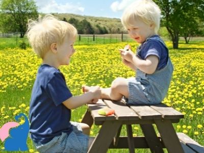 Picknicktisch Testbericht