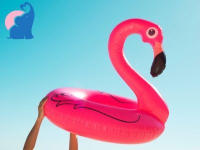Schwimmtier Testbericht