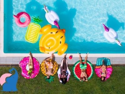 Schwimmtier Testsieger