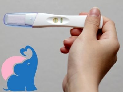 Schwangerschaftstest machen morgens oder abends