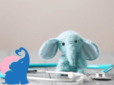 Kuscheltier Elefant Vergleich