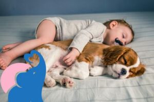 Mittagsschlaf Tabelle für Kinder