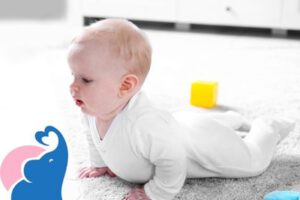 Ab wann robben Babys?