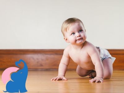 Babys krabbeln direkt los