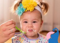 Ab wann dürfen Babys Brei essen?