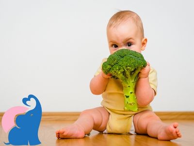 Ab wann duerfen Babys Brokkoli essen