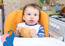 Ab wann dürfen Babys Brot essen?