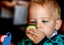 Ab wann dürfen Babys Gurke essen?