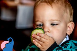 Ab wann dürfen Babys Gurke essen?