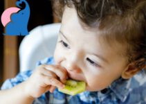 Ab wann dürfen Babys Kiwi essen?