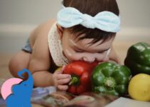 Ab wann dürfen Babys Paprika essen?