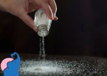 Ab wann dürfen Babys Salz essen?
