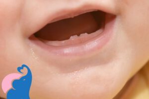 Ab wann zahnen Babys?