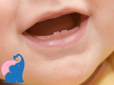 Ab wann zahnen Babys