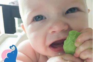 Ab wann dürfen Babys Avocados essen?