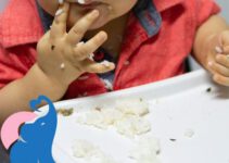 Ab wann dürfen Babys Reis essen?