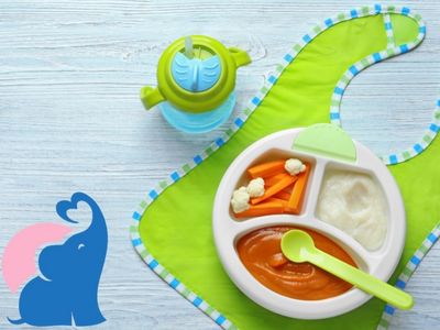 Babyteller mit Saugnapf Bewertung