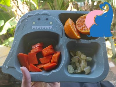 Babyteller mit Saugnapf Vergleich