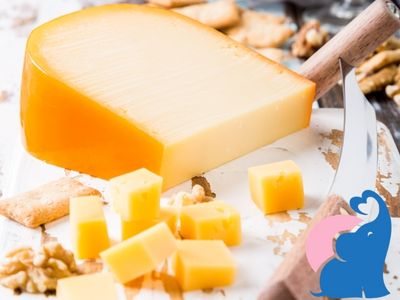 Bio Gouda Heumilch in der Schwangerschaft