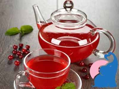 Cranberry-Tee fuer Schwangere