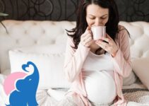Ist in der Schwangerschaft Fenchel Anis Kümmel Tee erlaubt?