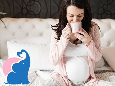 Fenchel Anis Kuemmel Tee gegen Uebelkeit in der Schwangerschaft