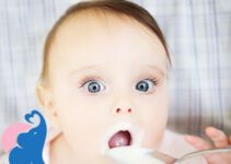 Ab wann dürfen Babys Frischkäse essen?
