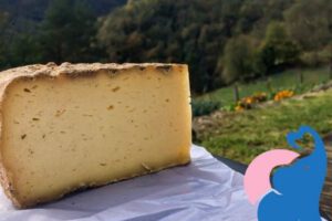 In der Schwangerschaft Bergkäse erlaubt?