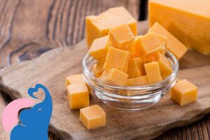 In der Schwangerschaft Cheddar erlaubt?