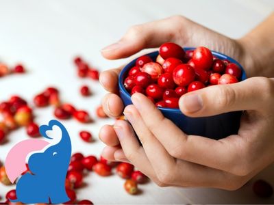 In der Schwangerschaft Cranberrys erlaubt