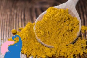 In der Schwangerschaft Curry erlaubt?