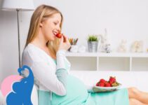 In der Schwangerschaft Erdbeeren erlaubt oder tabu?