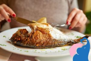 In der Schwangerschaft Fisch erlaubt?