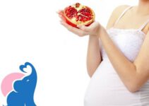 In der Schwangerschaft Granatapfel erlaubt?
