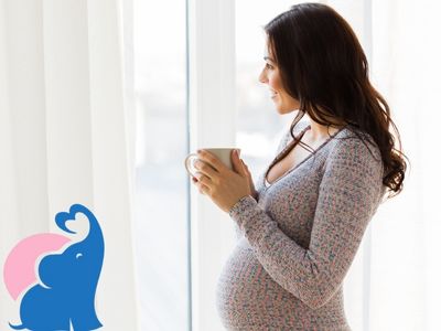 Ingwer gegen Schwangerschaftsuebelkeit