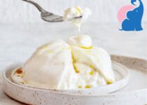 Ist in der Schwangerschaft Burrata erlaubt?