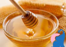 Ist in der Stillzeit Honig erlaubt?