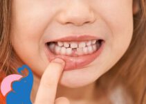 Wann verlieren Kinder ihre Milchzähne?